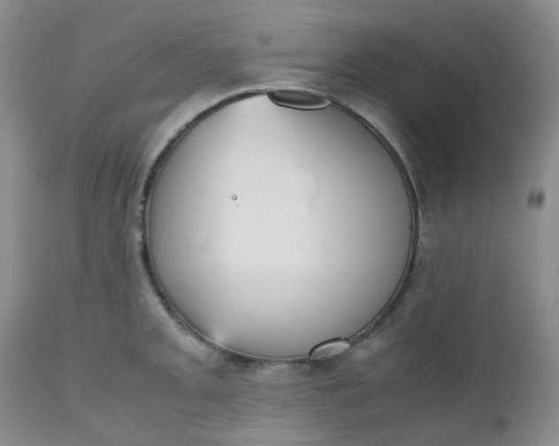 X0000112531093200908311417