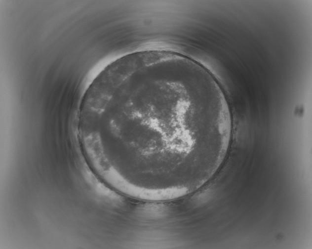 X0000112531094200908311417