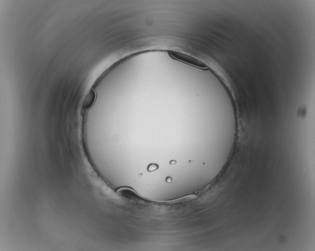 X0000112531096200908311417