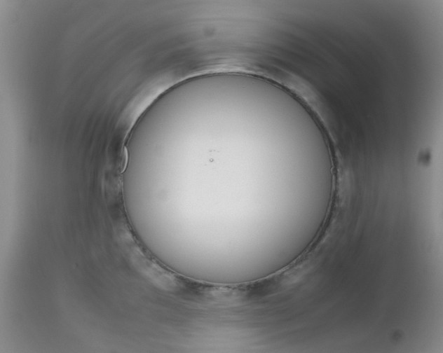X0000112531097200908311417