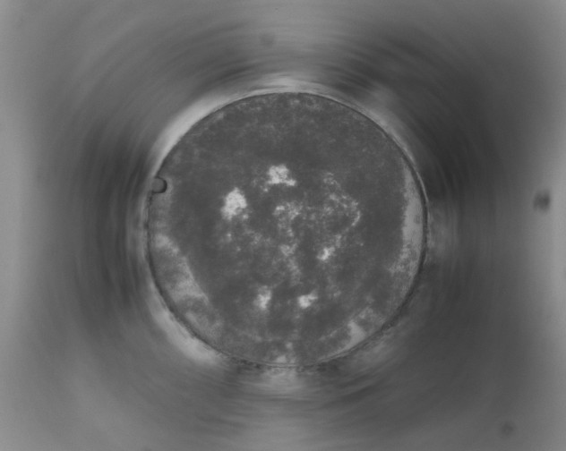 X0000112531098200908311417