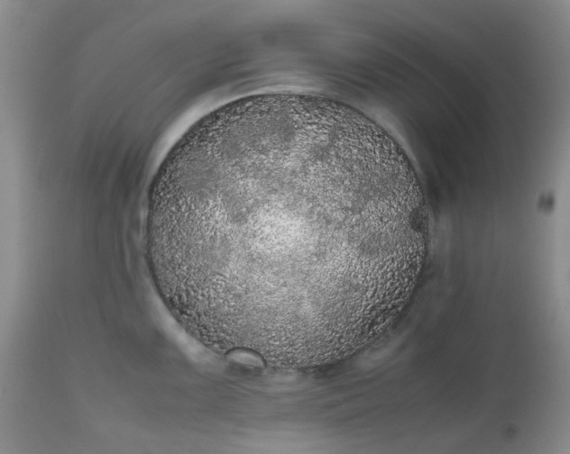 X0000112531099200908311417