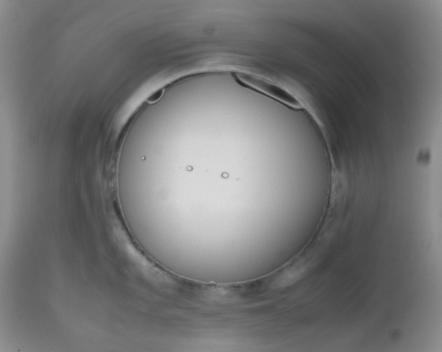 X0000112531101200908311417