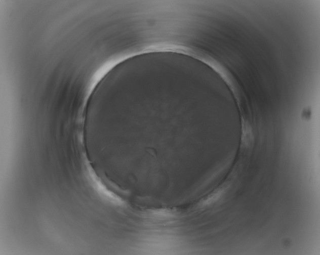 X0000112531102200908311417