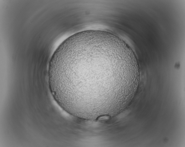 X0000112531103200908311417