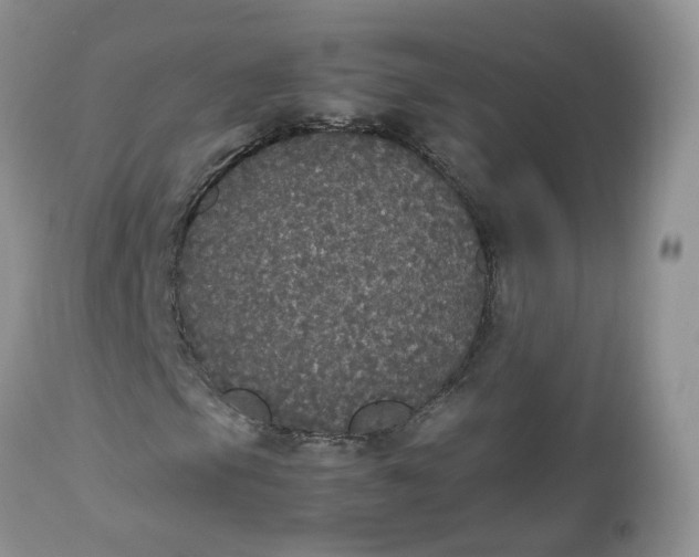 X0000112531105200908311416