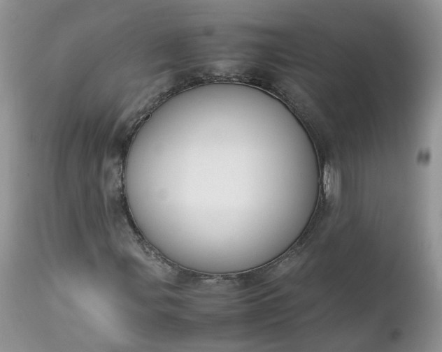 X0000112531107200908311416