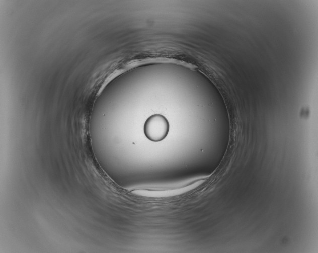 X0000112531108200908311416