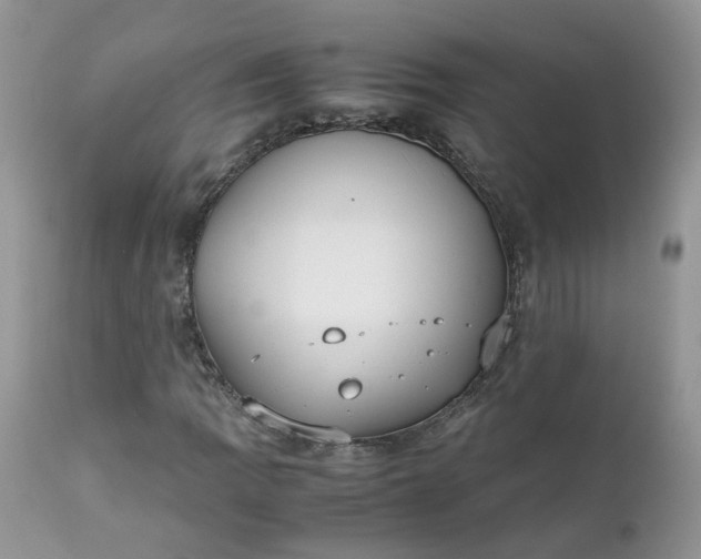 X0000112531109200908311416