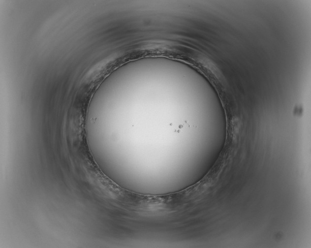X0000112531111200908311416