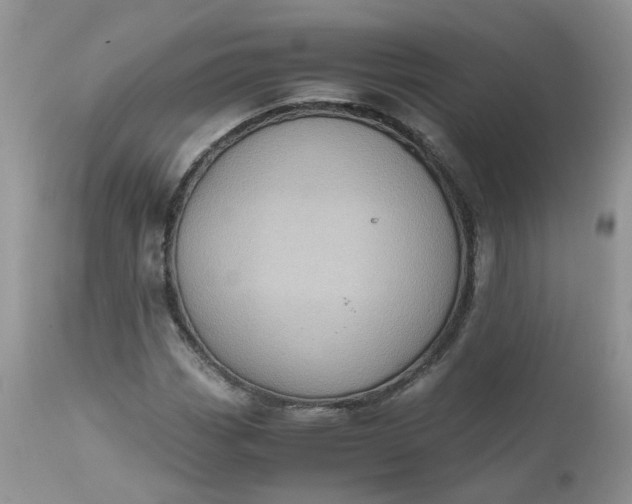 X0000112531113200908311416