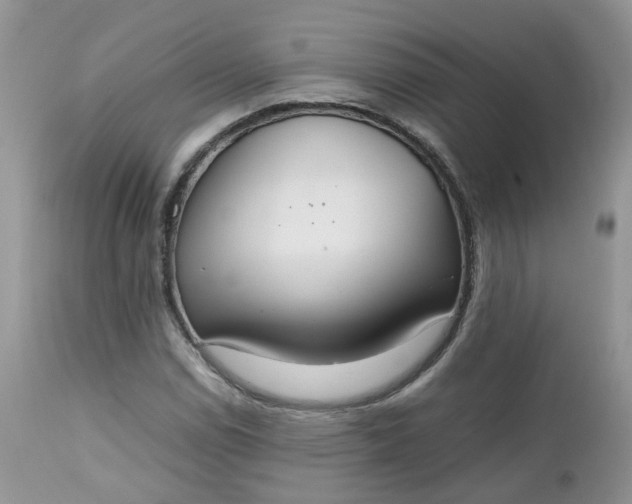 X0000112531114200908311416