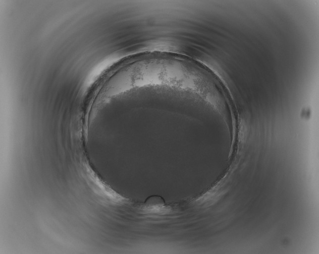 X0000112531115200908311416