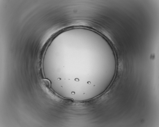 X0000112531116200908311416