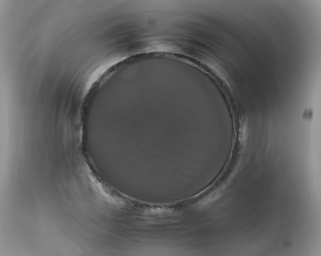 X0000112531117200908311416