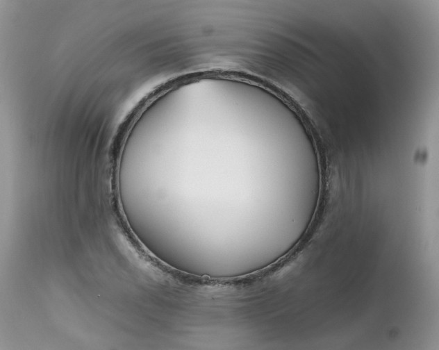 X0000112531118200908311416