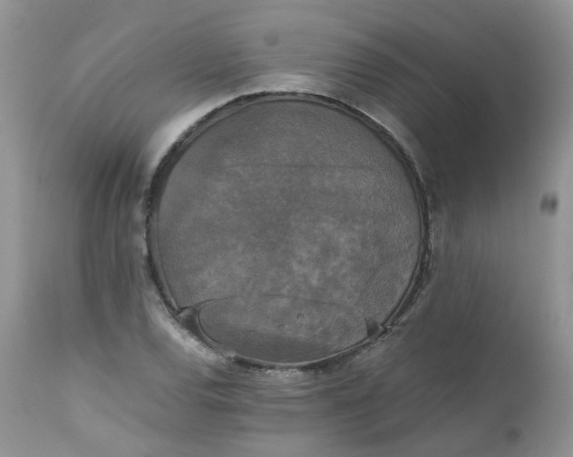 X0000112531120200908311417