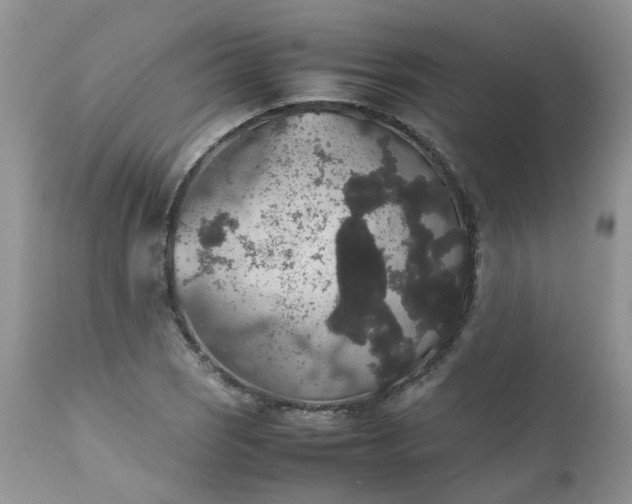 X0000112531121200908311417