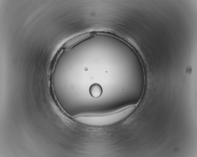 X0000112531124200908311417