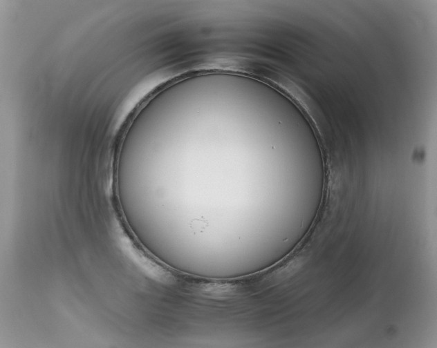 X0000112531131200908311417