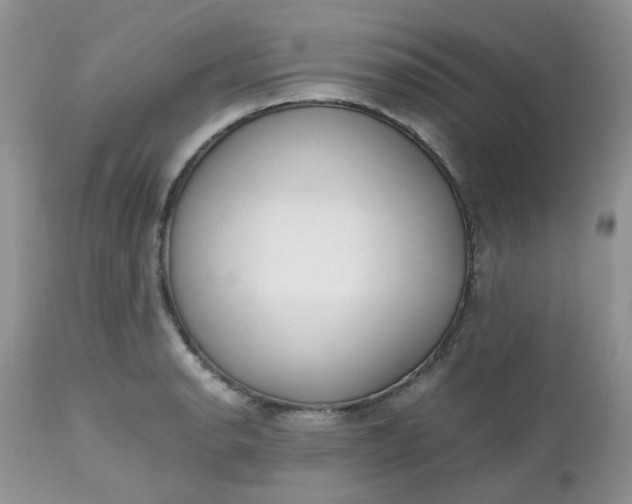 X0000112531134200908311417