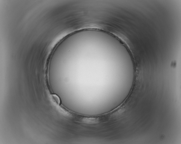 X0000112531135200908311417