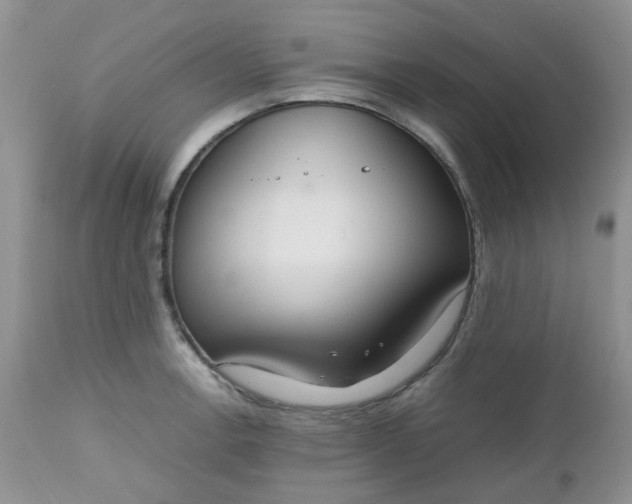 X0000112531138200908311417