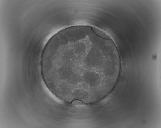 X0000112531142200908311417