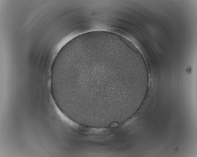X0000112531143200908311417