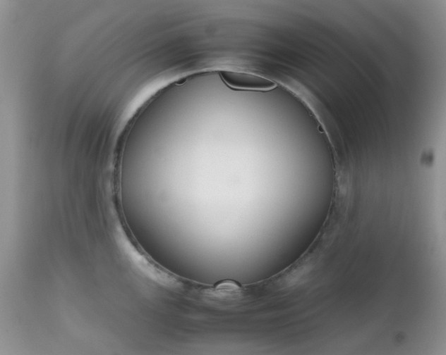 X0000112531147200908311417