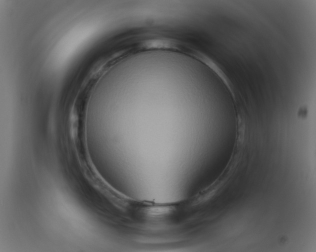 X0000112531151200908311417