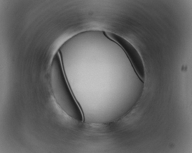 X0000112531152200908311417