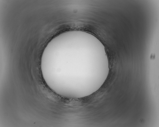 X0000112531153200908311416