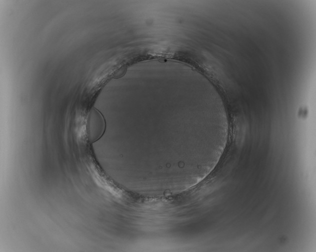 X0000112531154200908311416