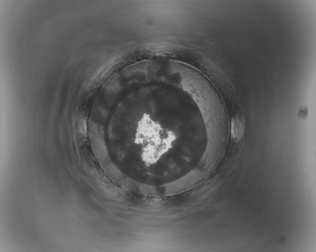 X0000112531155200908311416