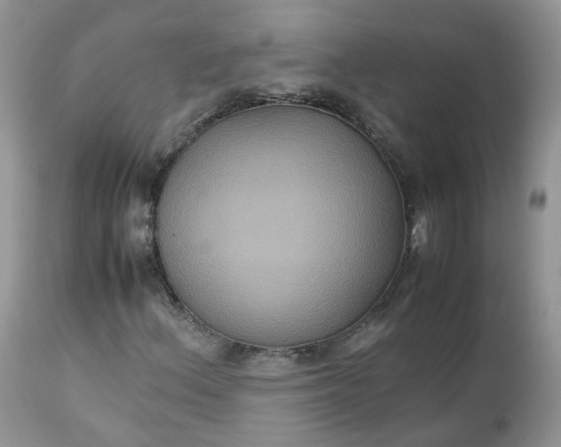 X0000112531156200908311416