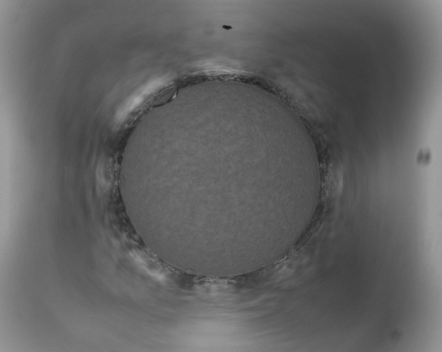 X0000112531157200908311416