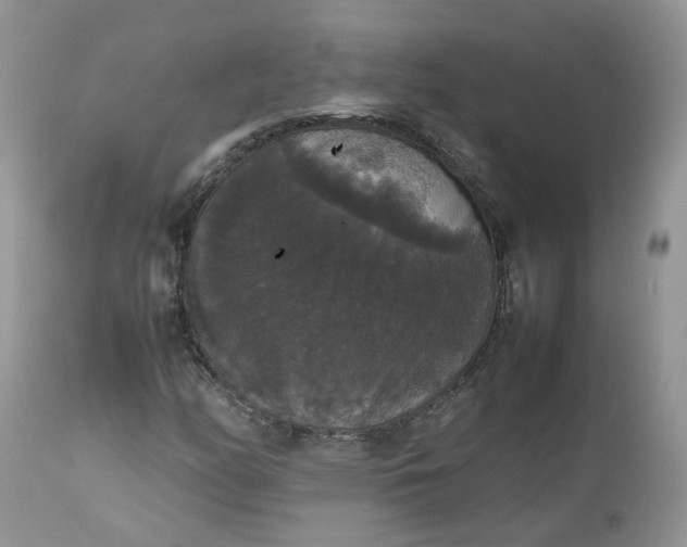 X0000112531158200908311416