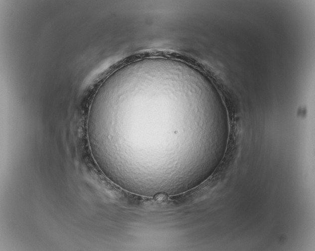 X0000112531159200908311416