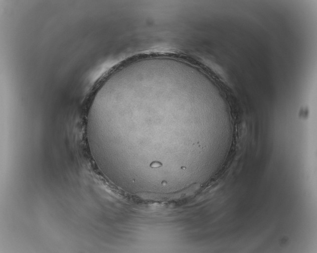X0000112531160200908311416