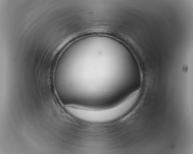 X0000112531162200908311416