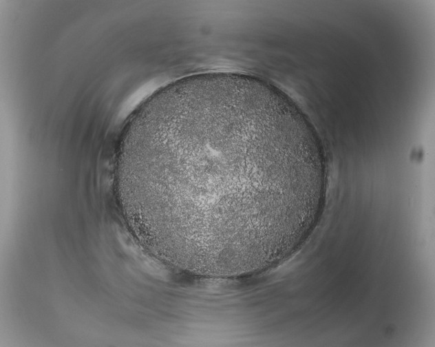 X0000112531163200908311416
