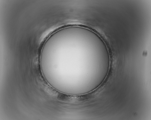 X0000112531167200908311416