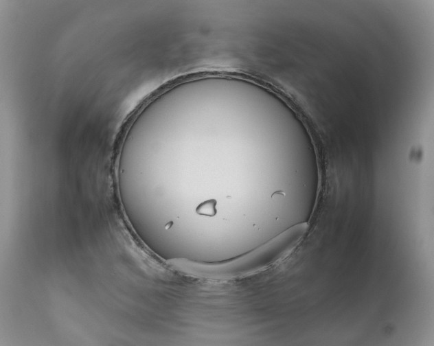 X0000112531168200908311416