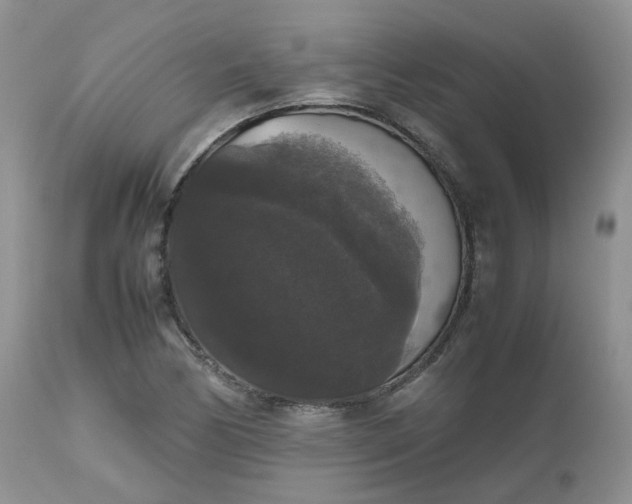 X0000112531170200908311416