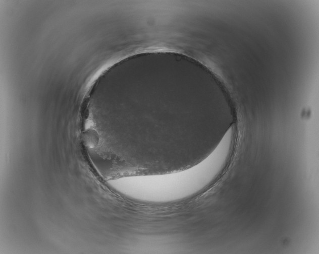 X0000112531173200908311416