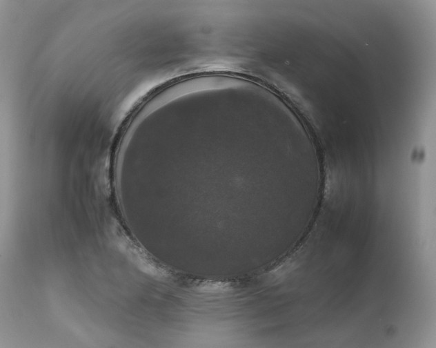 X0000112531174200908311416