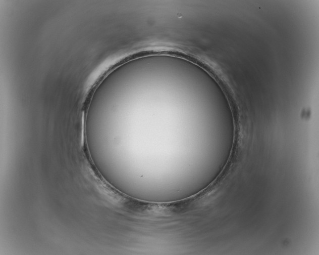 X0000112531175200908311416