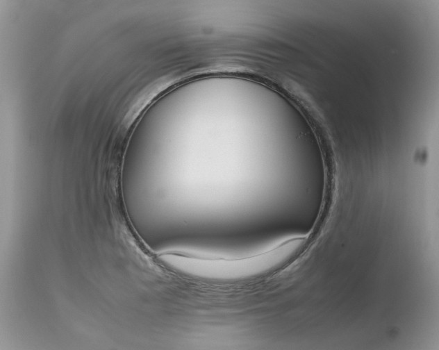 X0000112531177200908311416
