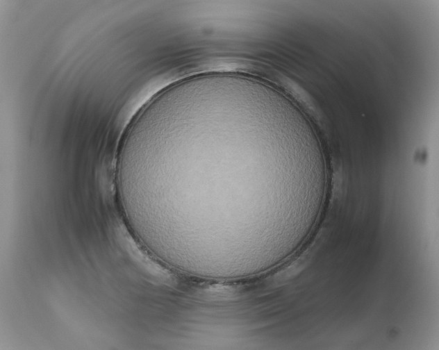 X0000112531178200908311416